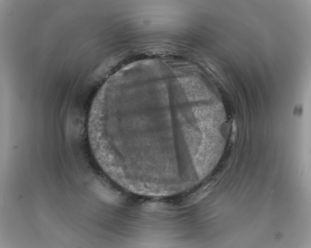 X0000091350408200709071243