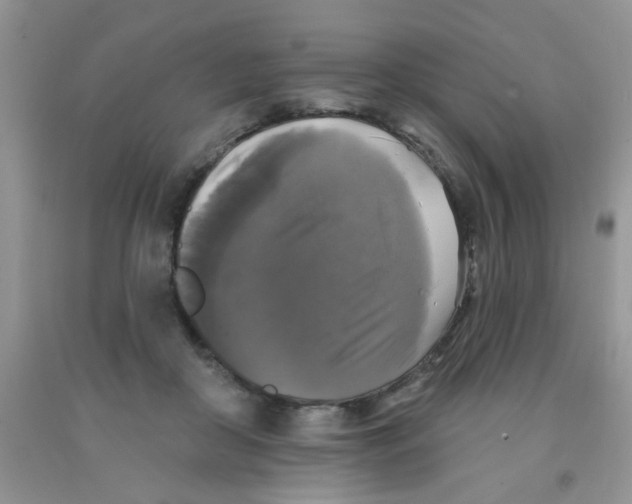 X0000091350410200709071243