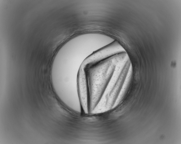 X0000091350411200709071243