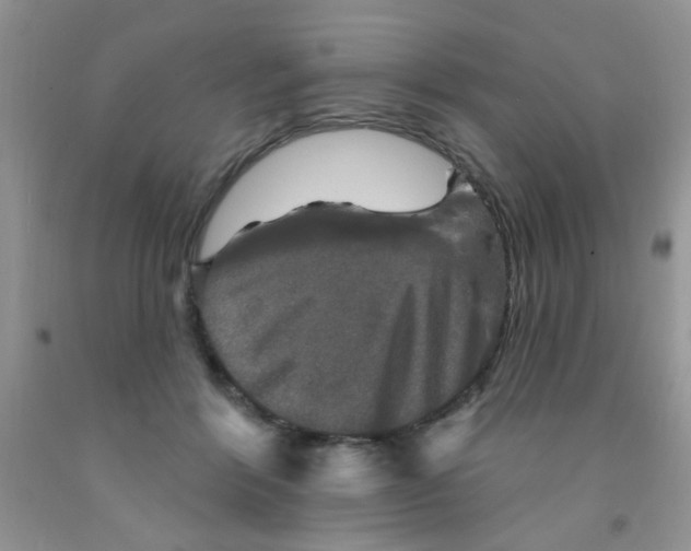 X0000091350412200709071243