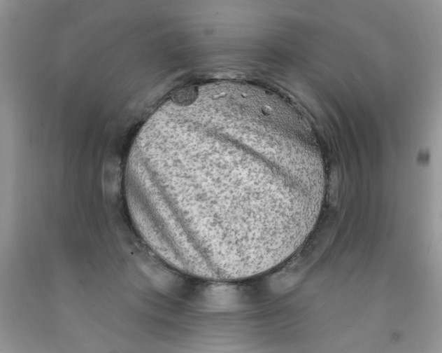 X0000091350413200709071243