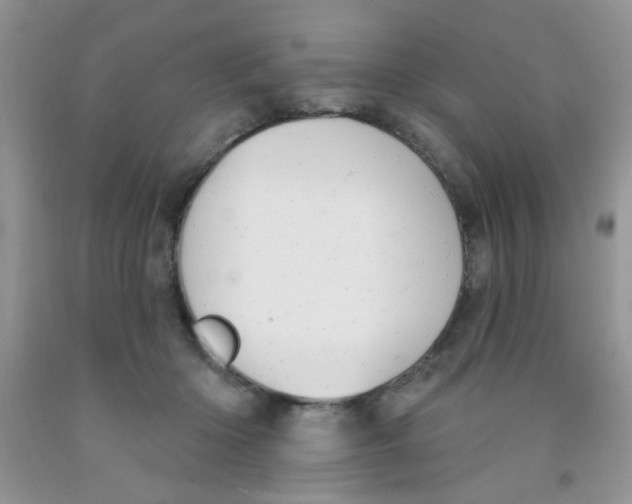 X0000091350414200709071243