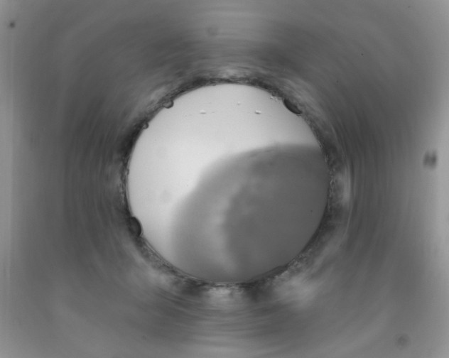 X0000091350415200709071242