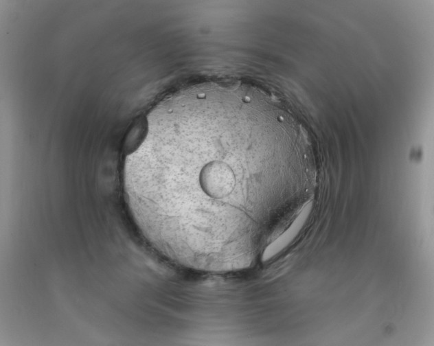 X0000091350416200709071242