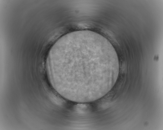 X0000091350418200709071242