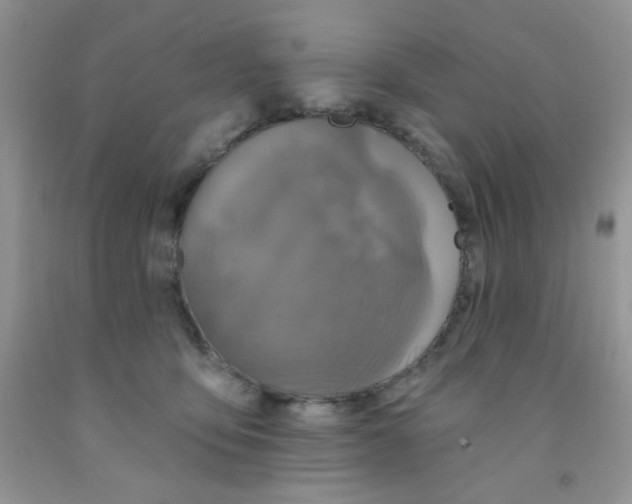 X0000091350419200709071242