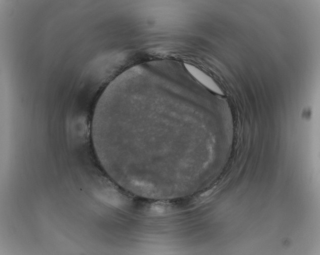 X0000091350420200709071242