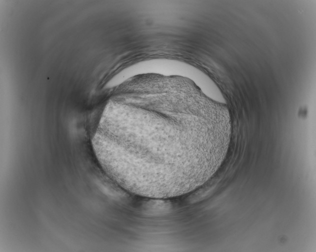 X0000091350421200709071242