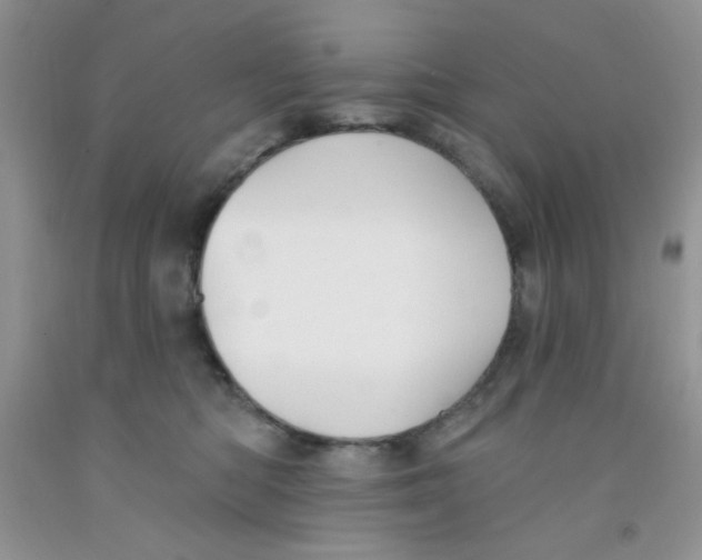 X0000091350422200709071242