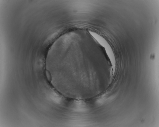 X0000091350424200709071242