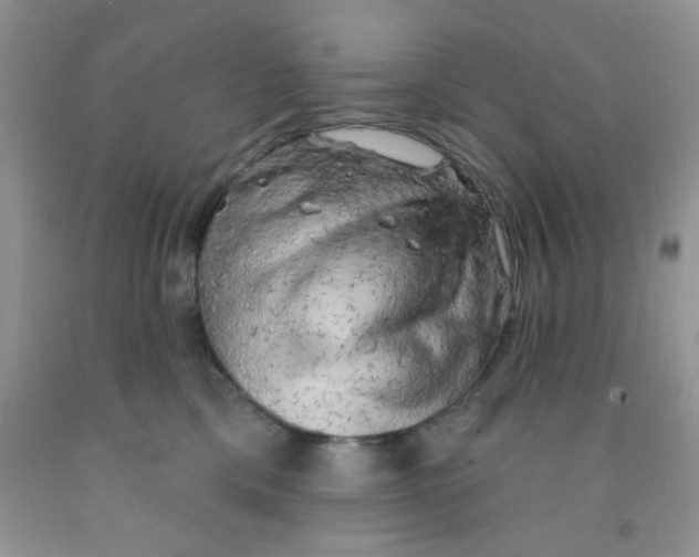 X0000091350425200709071242
