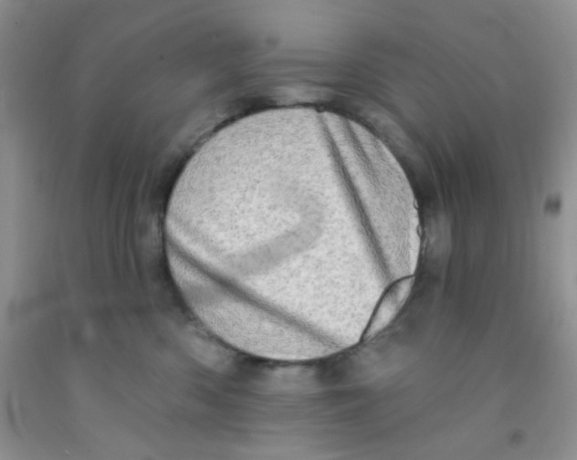 X0000091350426200709071242