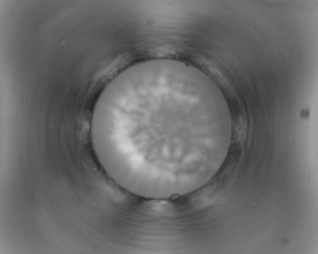 X0000091350427200709071242
