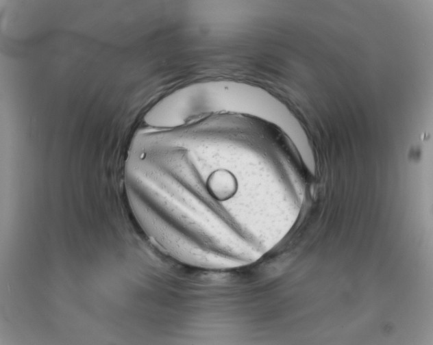 X0000091350428200709071242