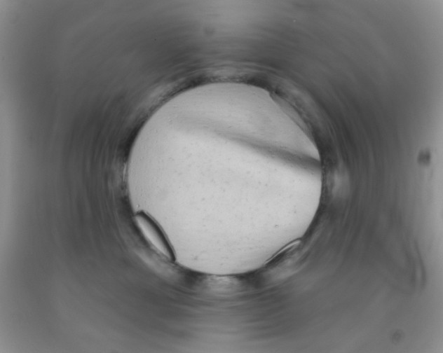 X0000091350429200709071242