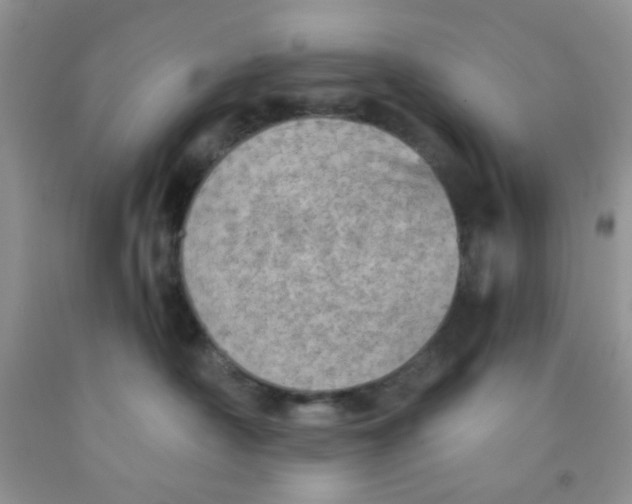X0000091350430200709071242