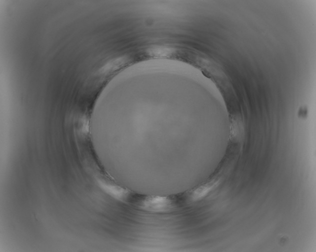 X0000091350431200709071242