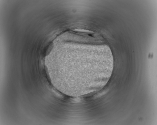 X0000091350432200709071242