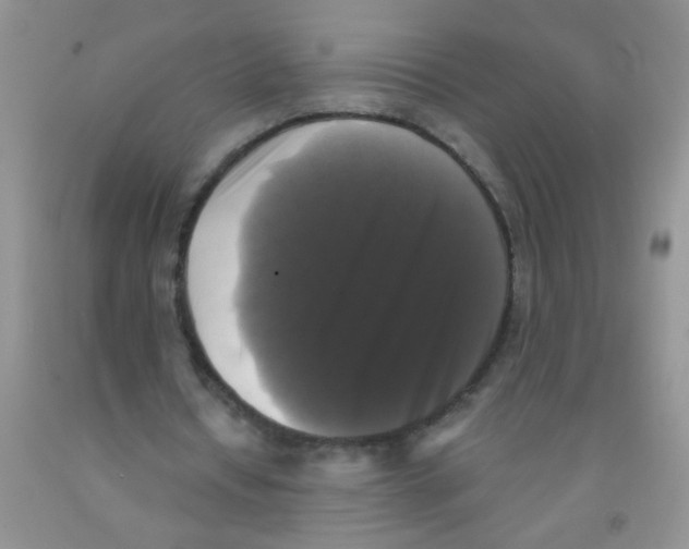 X0000091350434200709071242