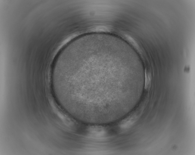 X0000091350435200709071242