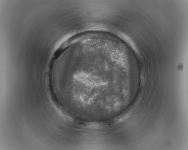 X0000091350436200709071242