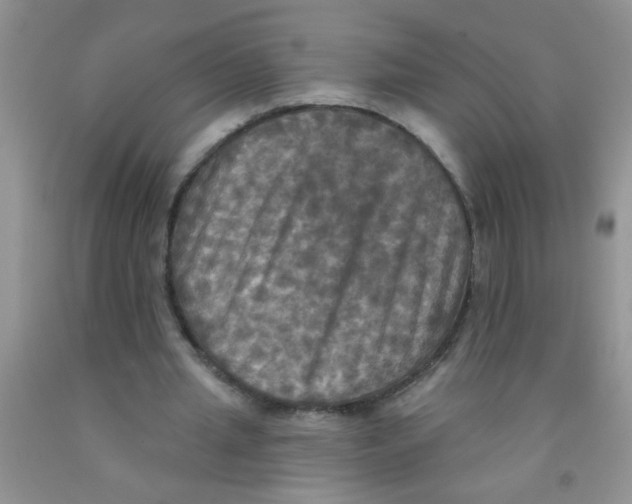 X0000091350437200709071242