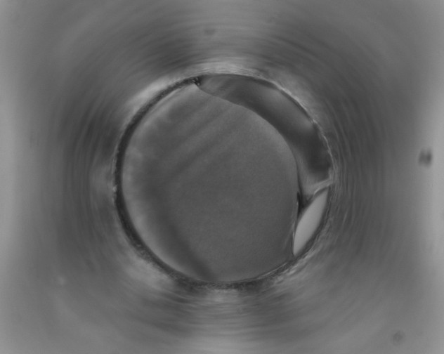 X0000091350438200709071242