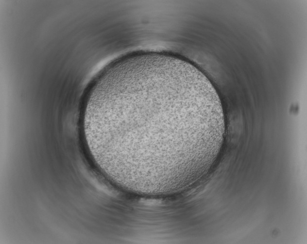 X0000091350440200709071242