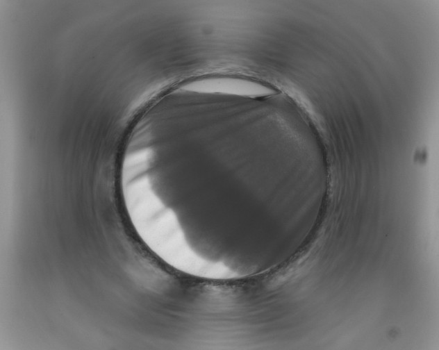 X0000091350442200709071242
