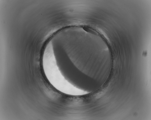 X0000091350443200709071242