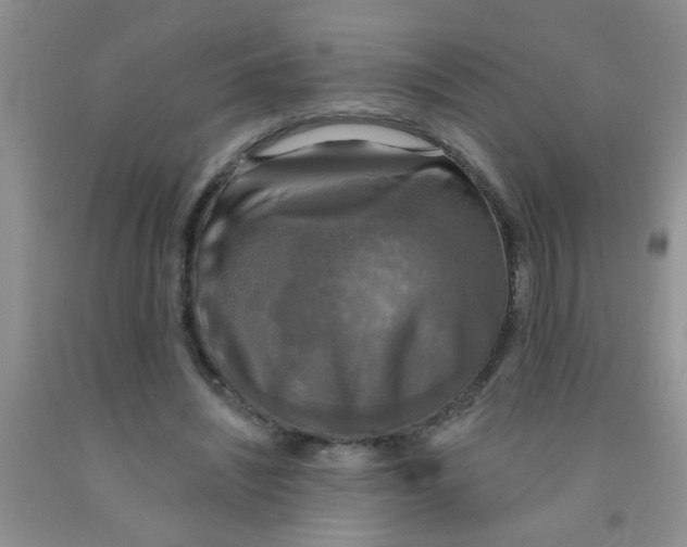X0000091350444200709071242