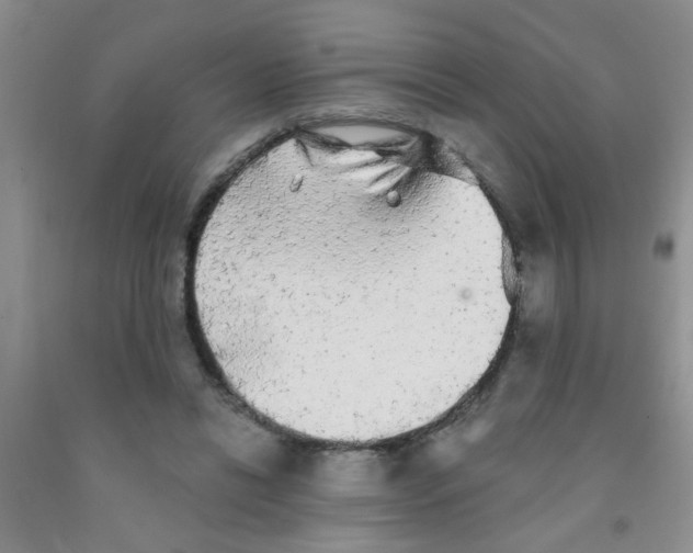X0000091350446200709071242