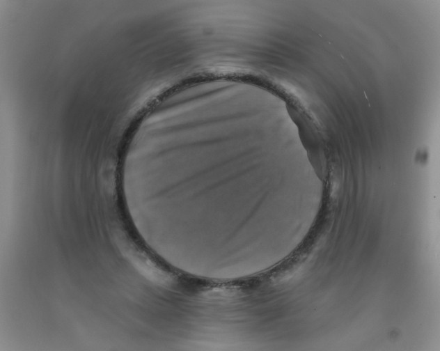 X0000091350447200709071242