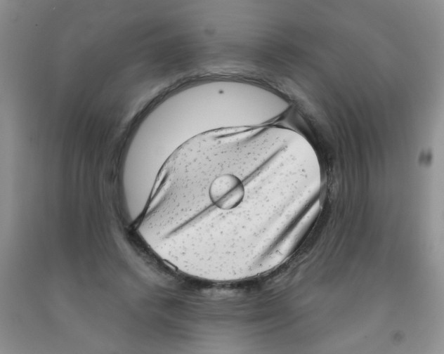 X0000091350448200709071242