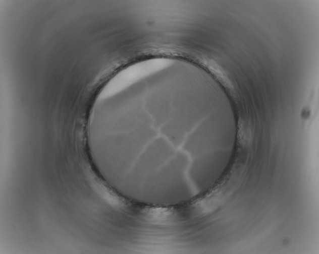X0000091350449200709071242