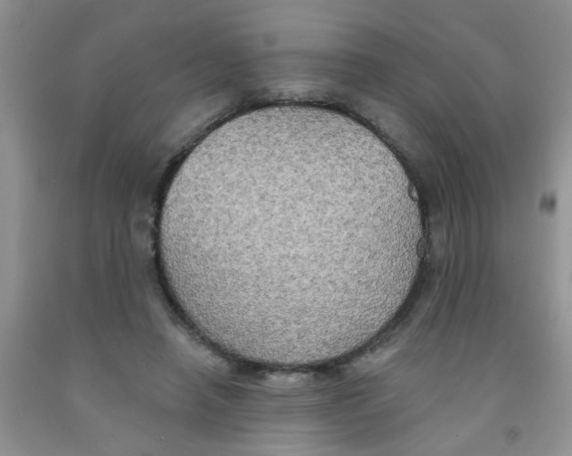X0000091350450200709071242