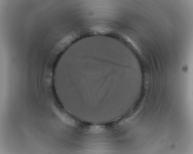 X0000091350451200709071242