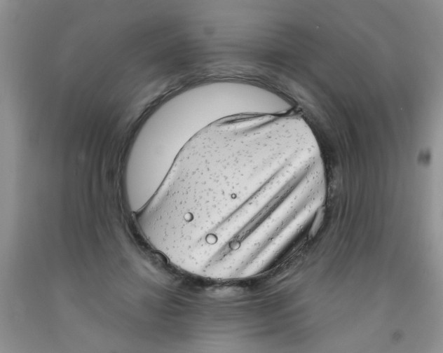 X0000091350452200709071242