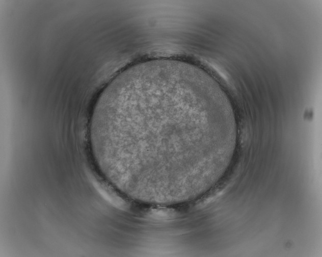 X0000091350455200709071242