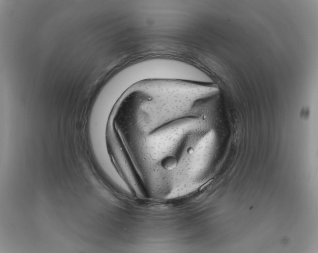 X0000091350456200709071242