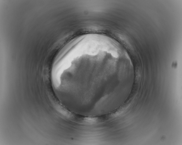 X0000091350457200709071242