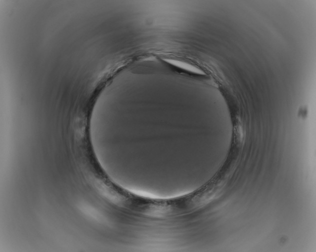 X0000091350458200709071242