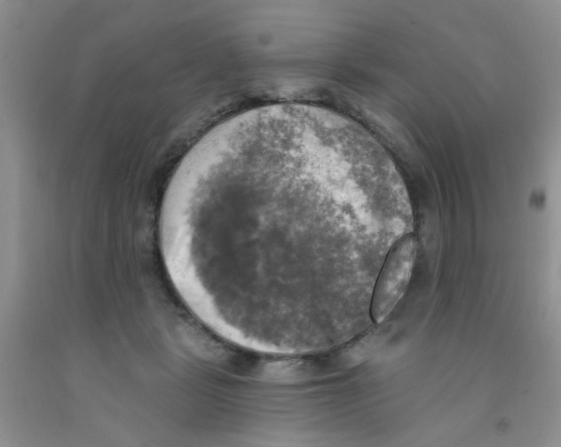 X0000091350461200709071242