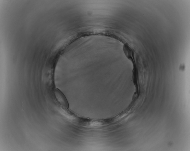 X0000091350462200709071242