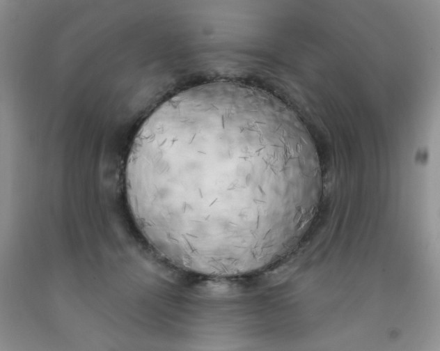 X0000091350464200709071242