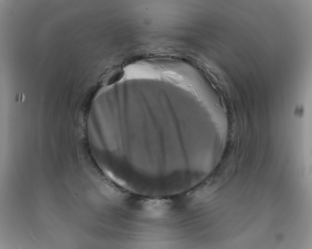 X0000091350465200709071242
