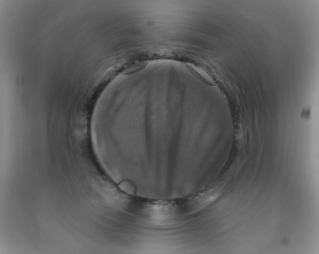 X0000091350466200709071242