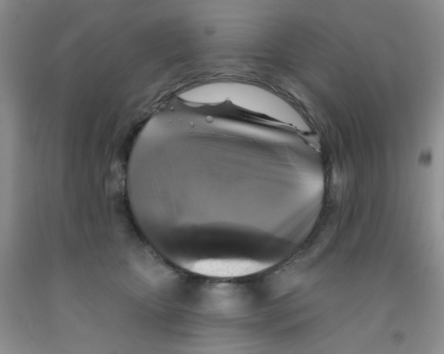 X0000091350467200709071242