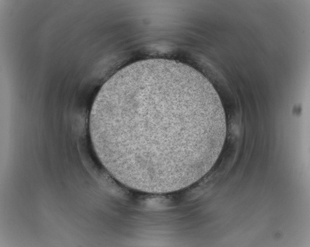 X0000091350468200709071242