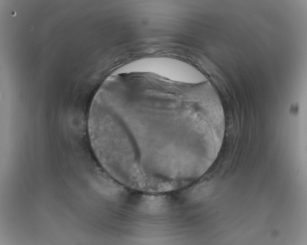 X0000091350469200709071242